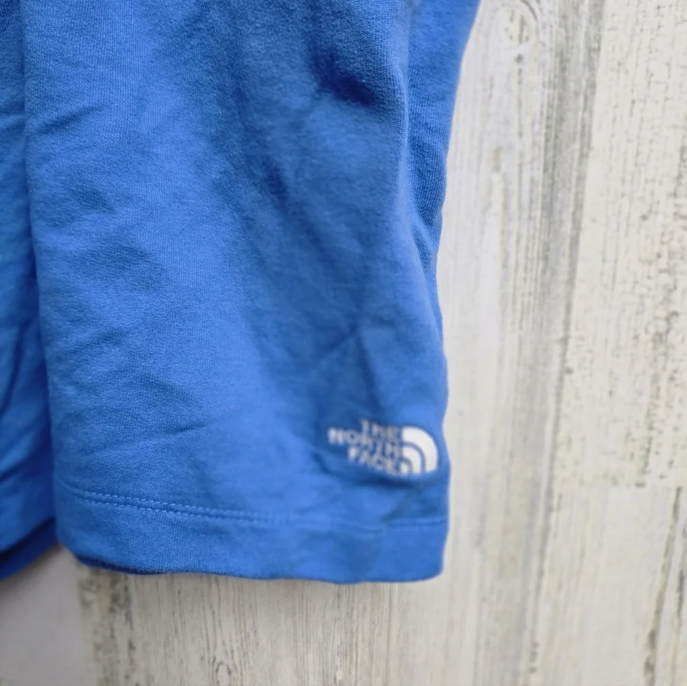 The North Face Mens Blue Shorts Size XL